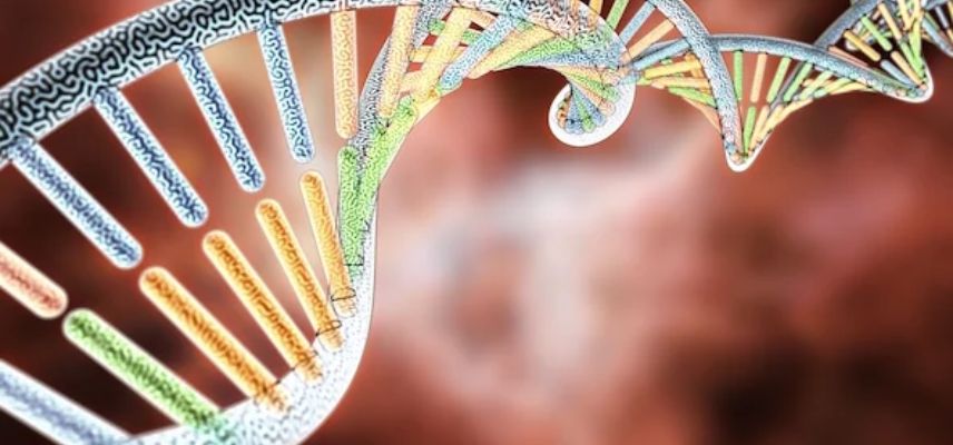 Chugai Gets Japanese Approval for Foundationone Liquid CDx Cancer Genomic Profile